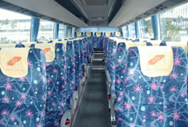 Hong Kong 56 Seater Coach